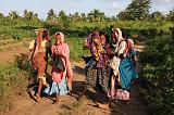 TANZANIA - Pemba Island - 155 Ragazze giocano